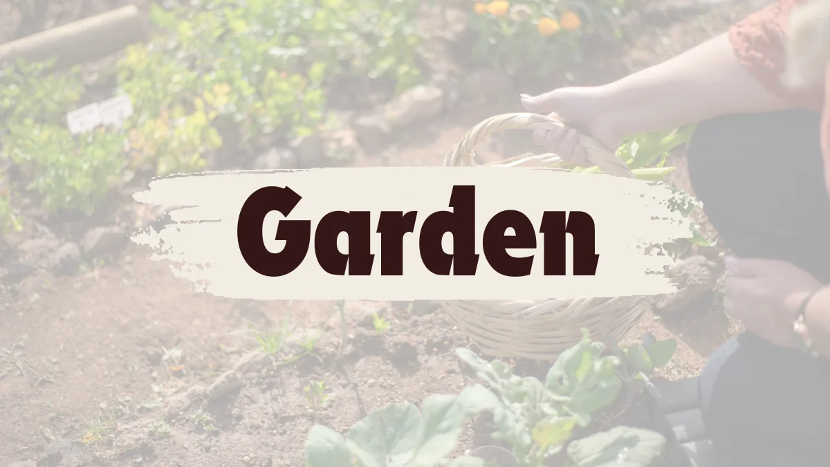 Garden - The Brown Chair 