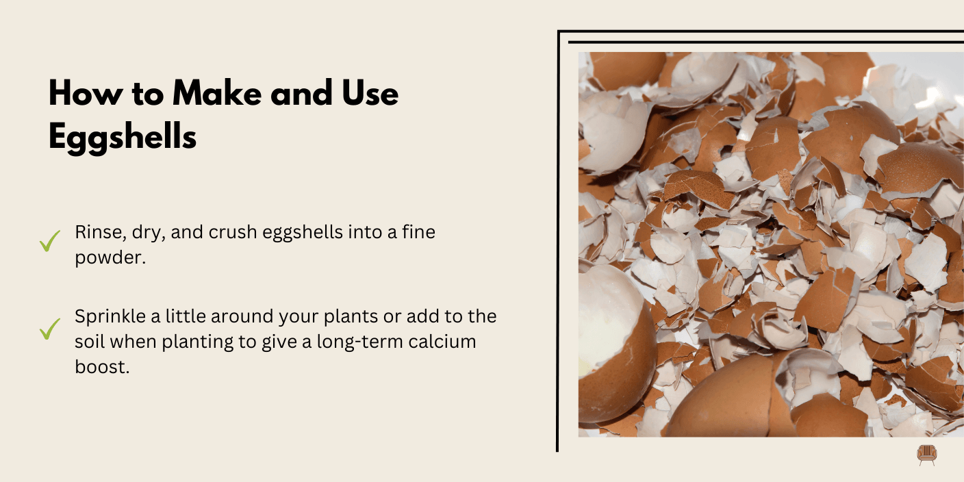 Crushed Eggshells for a Little Calcium - Eggshells break down slowly, but they provide calcium, which helps prevent tip burn (brown edges on leaves) in lettuce.