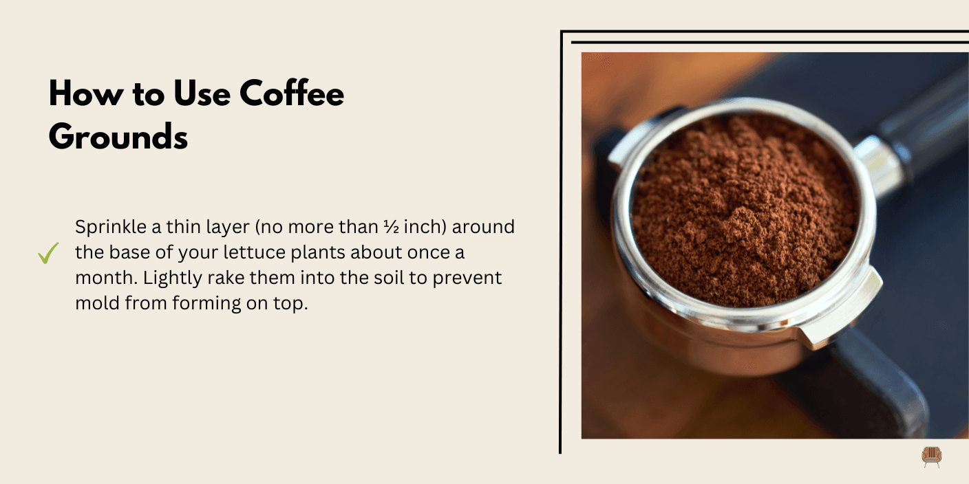 Coffee Grounds for a Nitrogen Boost - Coffee grounds add nitrogen and can help improve soil structure, but use them sparingly.