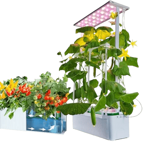 Best Vertical Garden Hydroponic Systems - E-Superegrow (6100F) Hydroponic System with Trellis