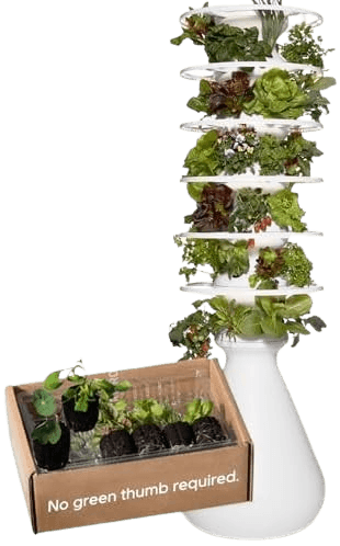 Best Vertical Garden Hydroponic Systems - Farmstand Medium Kit + Seedlings