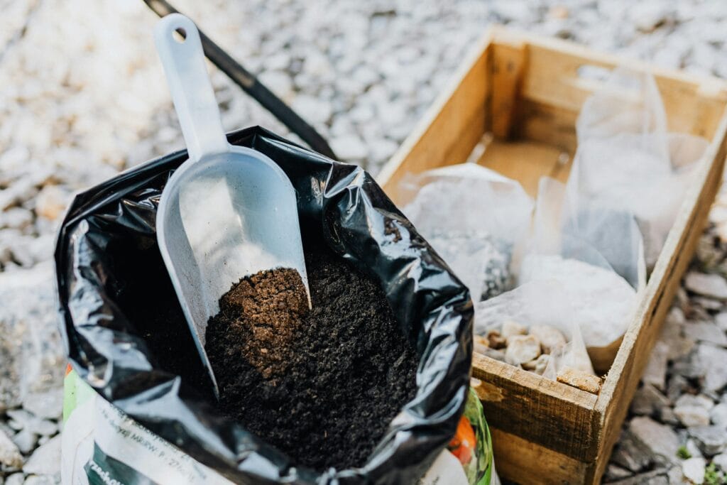 Soil Preparation - How Do You Grow Lettuce in a Container?