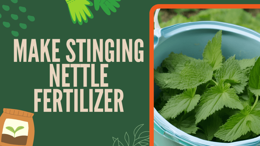 Make Stinging Nettle Fertilizer - 7 Easy Steps | TheBrownChair.com