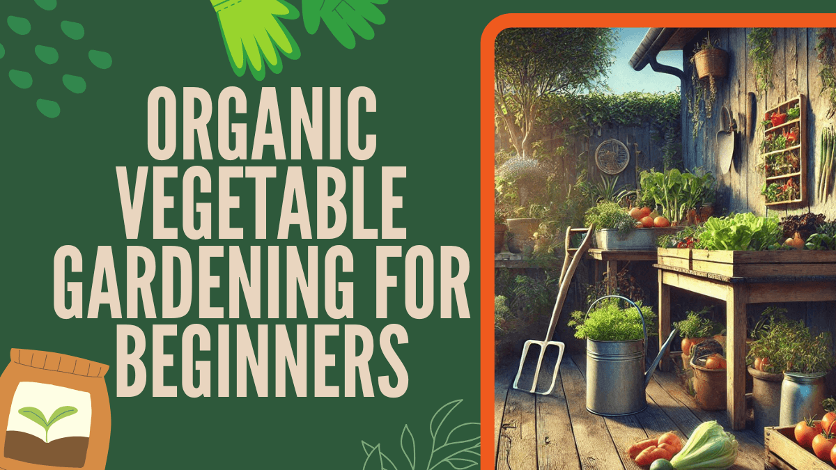 Organic Vegetable Gardening for Beginners - TheBroenChair.com