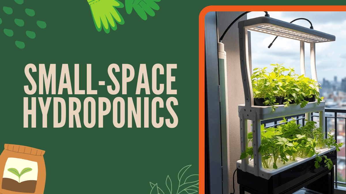 Small-Space Hydroponics - Efficient Gardening