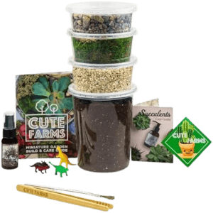 Cute Farms Terrarium Building Kit - Top 25 Best Gifts for Gardeners