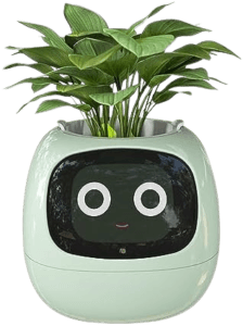 Masdio Smart Self-Watering Planters - Top 25 Best Gifts for Gardeners