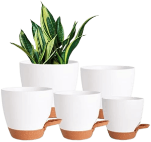 Self Watering Pots - Top 25 Best Gifts for Gardeners