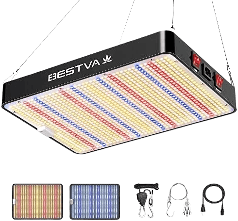 BESTVA DC2000