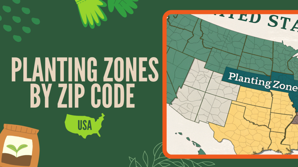 Planting Zones by Zip Code (USA) - 10 Advanced Tips