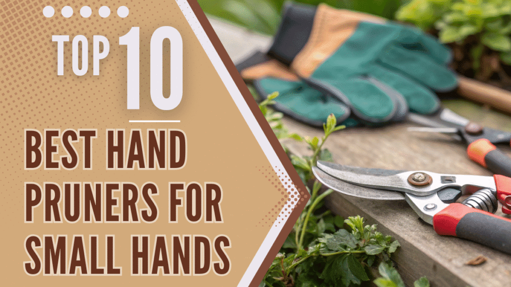 Top 10 Best Hand Pruners for Small Hands - Reasonable Picks