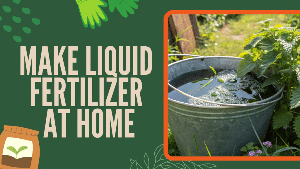 How to make liquid fertilizer at home? - 9 easy recipes