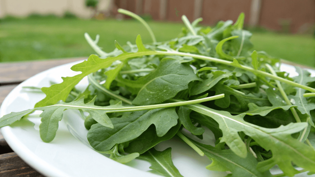Arugula is a cool-season crop. Summer planting is difficult but not impossible in some climates.